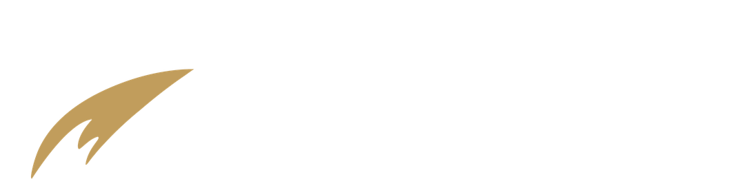 Stellar Capital, credenciada à XP Investimentos